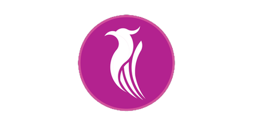 شركة برنيق للطيران